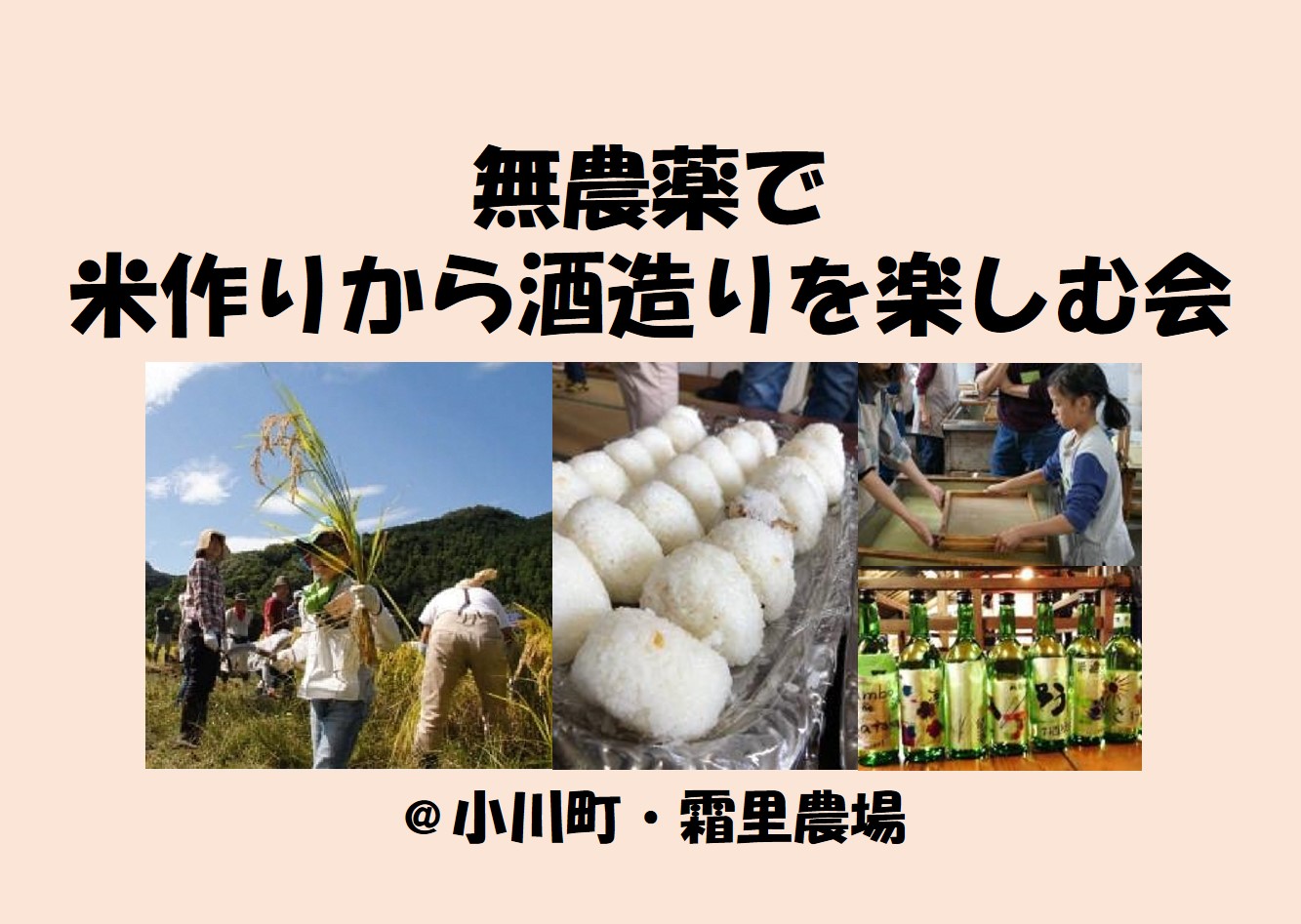 無農薬で米作りから酒造りを楽しむ会＠小川町 | 地域のトピックス