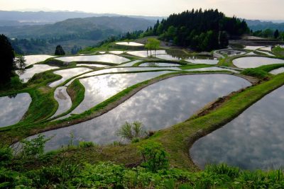 にいがた県の情報収集(中越編) | 地域のトピックス