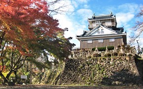 県内で一番の子育てしやすいまちに！（福井県大野市） | 地域のトピックス