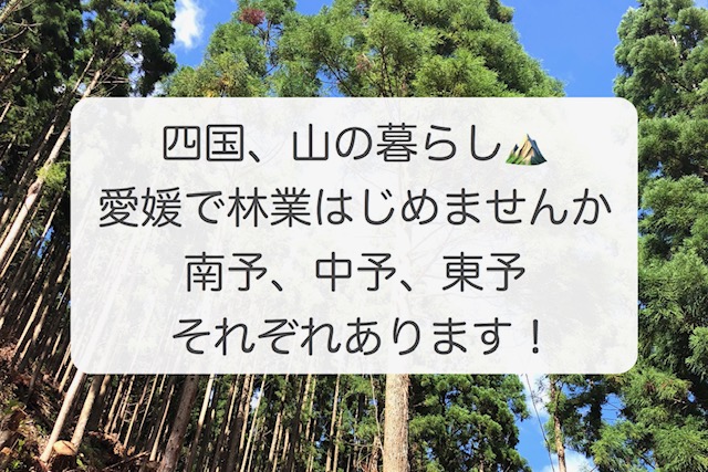 未経験からでもチャレンジできる＜林業＞ | 地域のトピックス