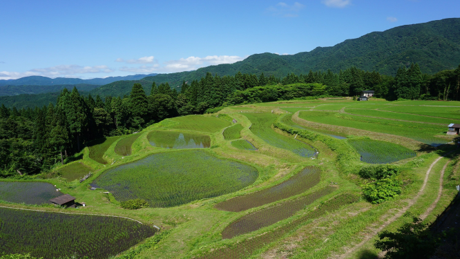 【香美町】地域おこし協力隊を募集しています！ | 地域のトピックス