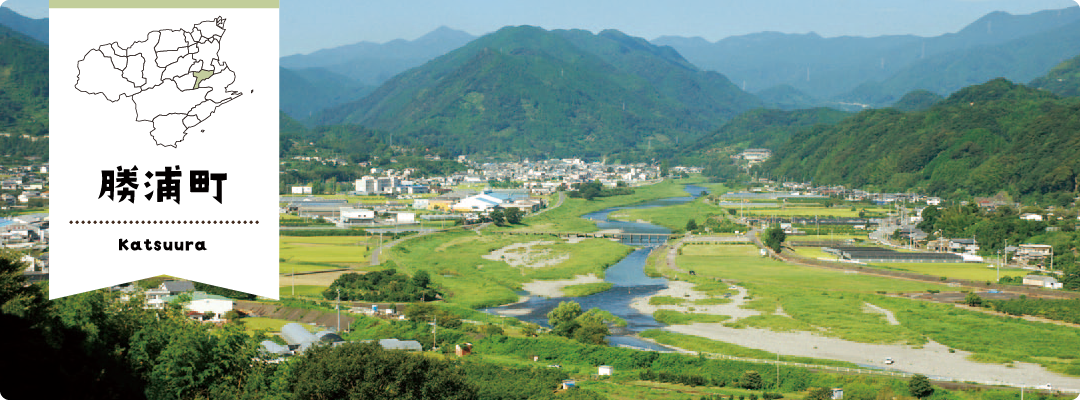 もっと知りたい徳島県！vol.9【勝浦町】 | 地域のトピックス