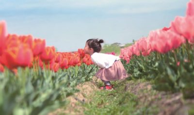 【直方市】地域おこし協力隊＜観光振興・窯業（高取焼）振興＞で活動する隊員（2名）を募集！ | 地域のトピックス