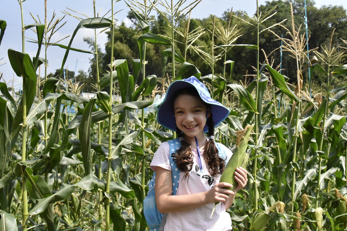 【開催中止】東松山市で収穫体験　～トウモロコシ・エダマメ～ | 地域のトピックス