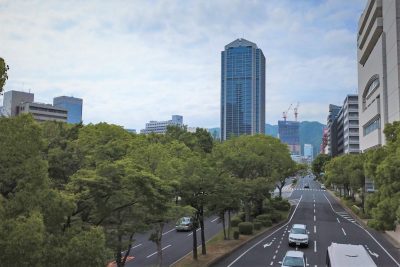 神戸の区紹介：中央区　なんでも揃っている神戸の真ん中！ | 地域のトピックス