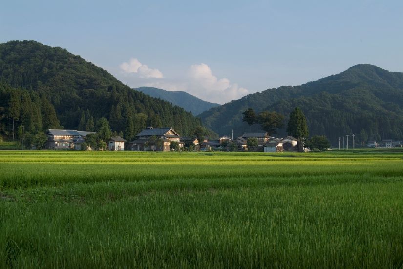 福井県池田町で働く女性・輝く女性たちを紹介!役場職員募集中! | 地域のトピックス