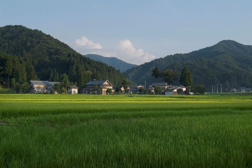 福井県池田町で働く女性・輝く女性たちを紹介！役場職員募集中！ | 地域のトピックス