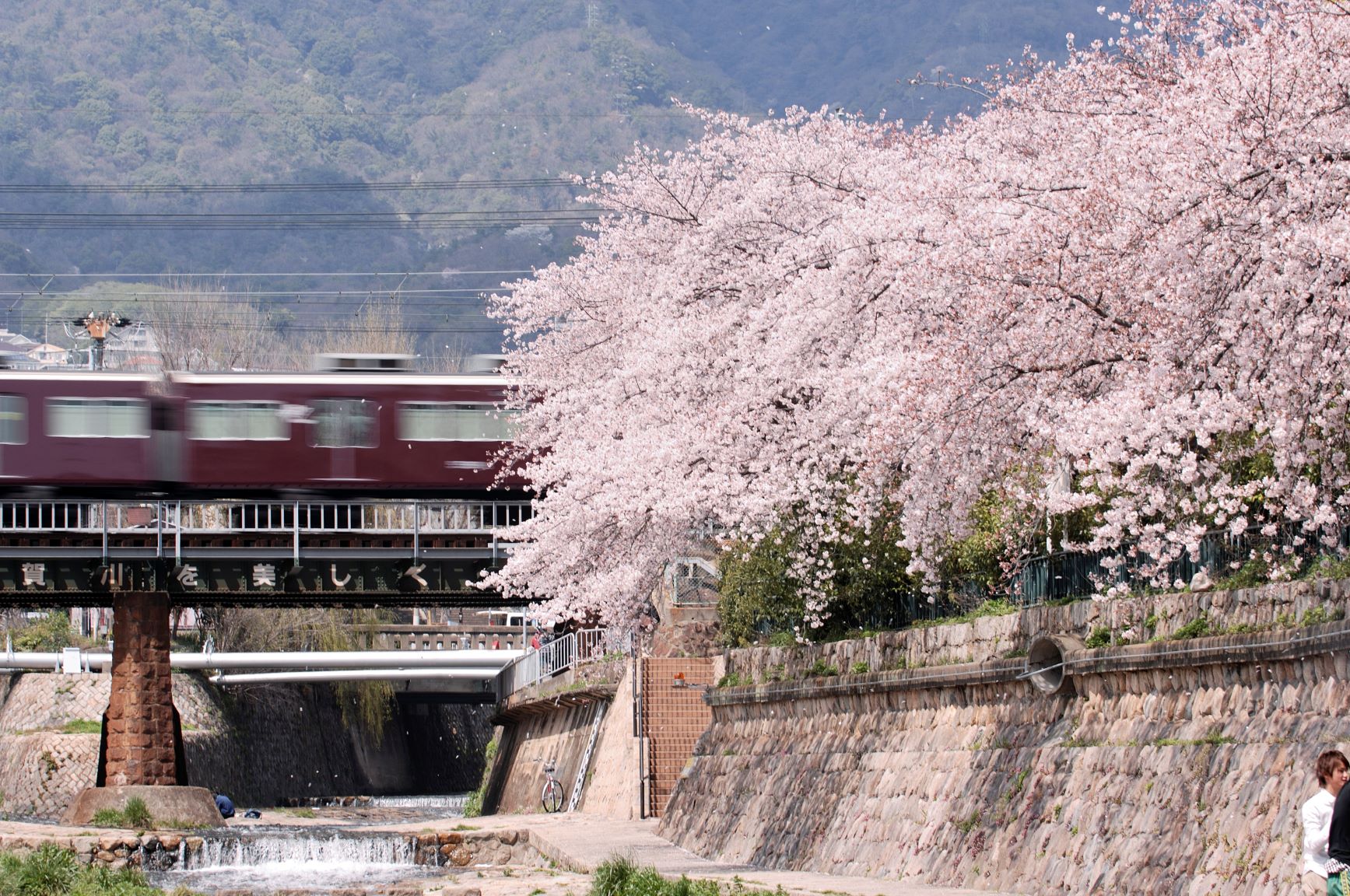 神戸の区紹介 その：灘区　豊かな自然に囲まれながら、ゆったり生活 | 地域のトピックス