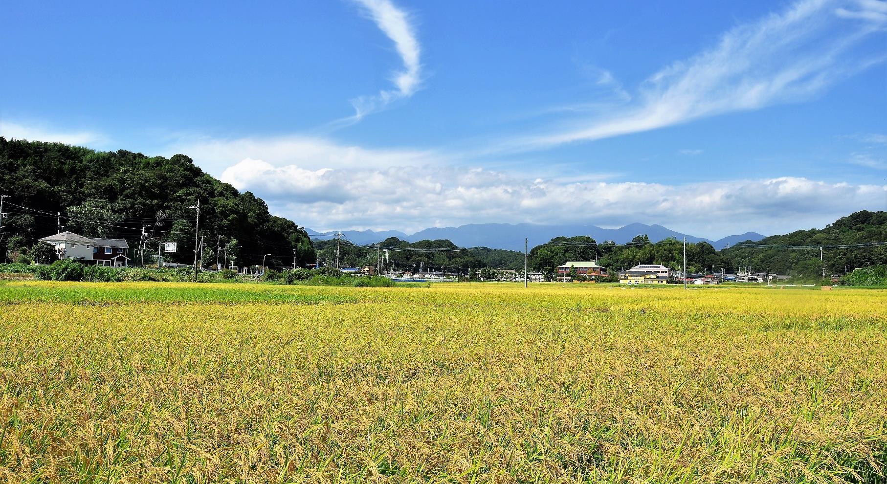 【中井町】オンライン移住相談してみませんか？ | 地域のトピックス