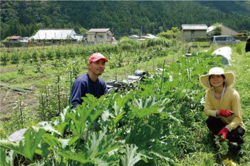 熊野市*地域おこし協力隊募集!! | 移住関連イベント情報