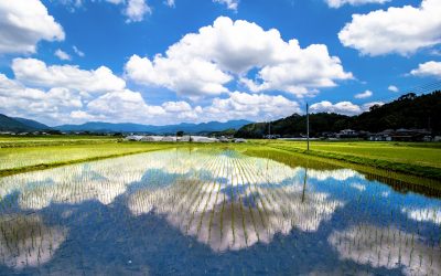 市町村紹介シリーズ? この人に聞いてみました！【菊池市】 | 地域のトピックス