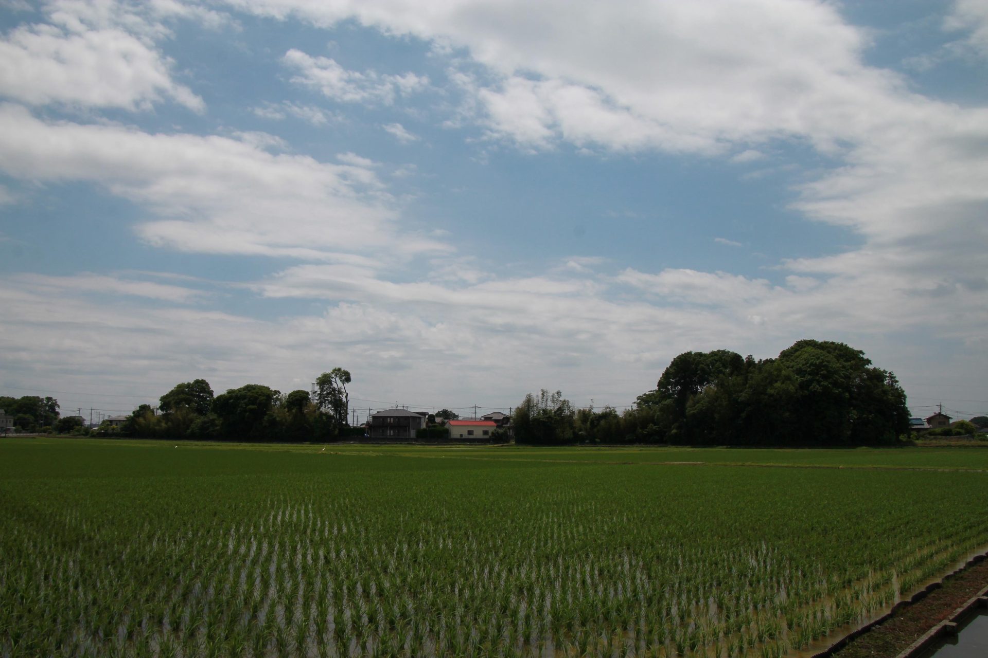 埼玉県東部でかなう里山と田園の暮らし~宮代町~ | 地域のトピックス