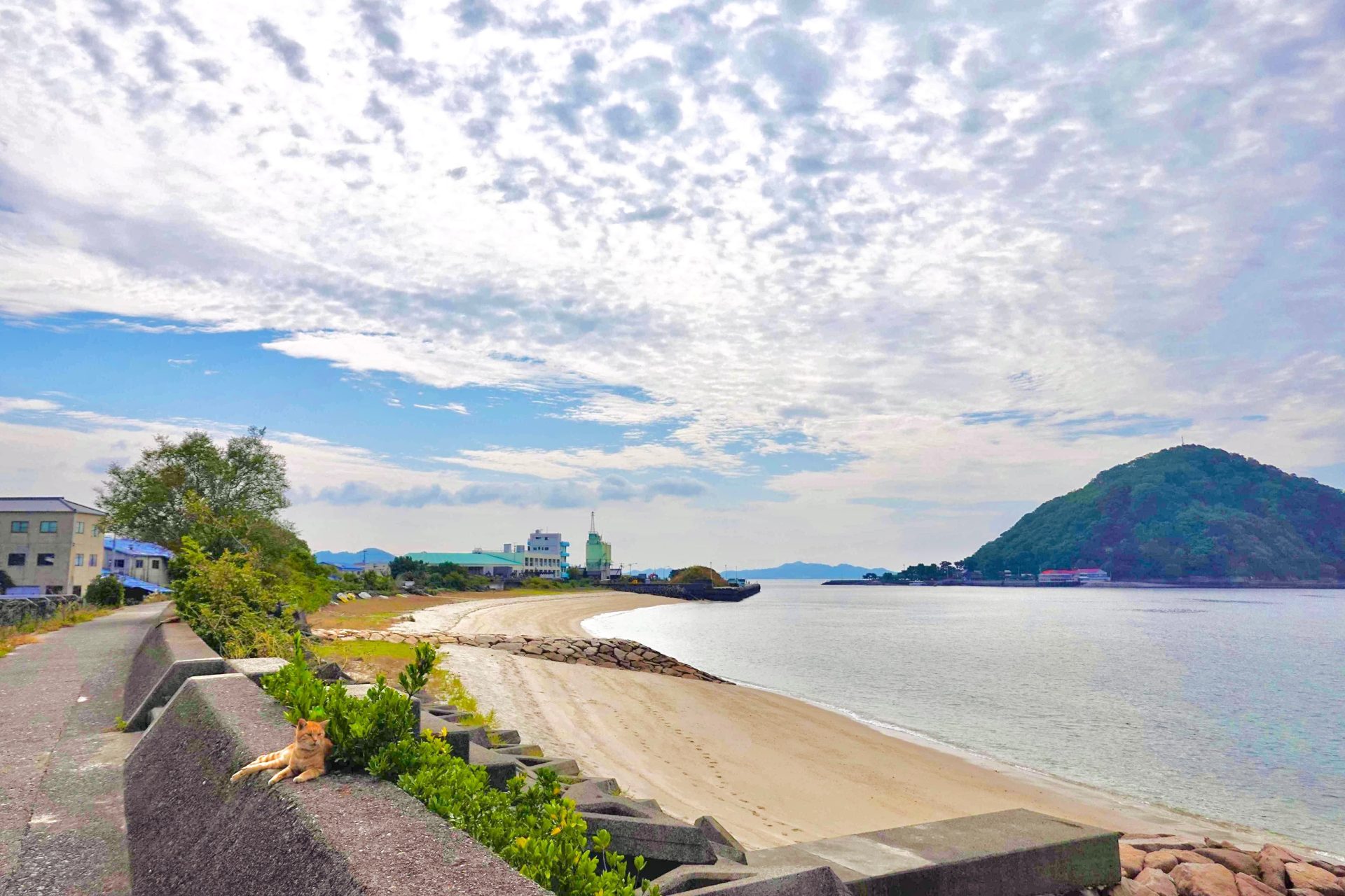 松山市で田舎暮らし?静かな海のそばで暮らす「北条」 | 地域のトピックス