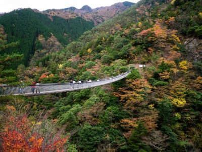 くまもとのおすすめ紅葉を見に行こーよー | 地域のトピックス