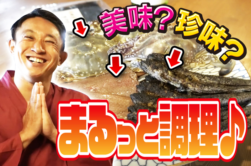 佐賀県移住促進PR動画「やっぱよかでしょう佐賀。(第5弾)」【2020.12.25 UP】~【100年の歴史】酒蔵のある古き良き街の古民家で移住体験!~を公開しています! | 地域のトピックス