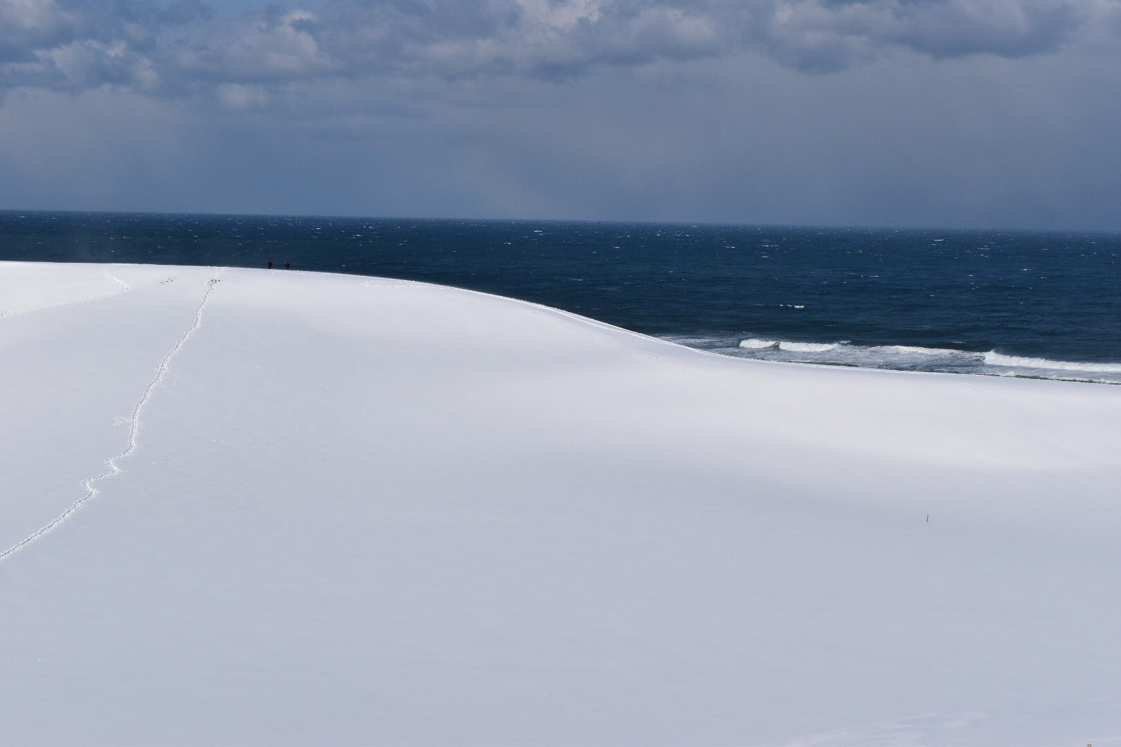 鳥取にもついに雪が降りました。 | 地域のトピックス