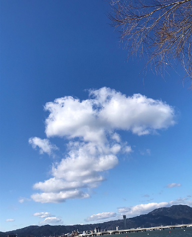 琵琶湖の深呼吸 | 地域のトピックス