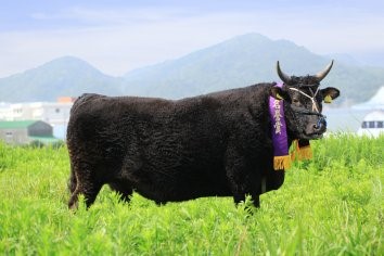 丑(うし)年の牛の話?　「但馬牛(たじまうし)の一大生産地・淡路島」 | 地域のトピックス