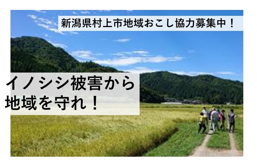 村上市越沢集落、地域おこし協力隊募集中 | 地域のトピックス