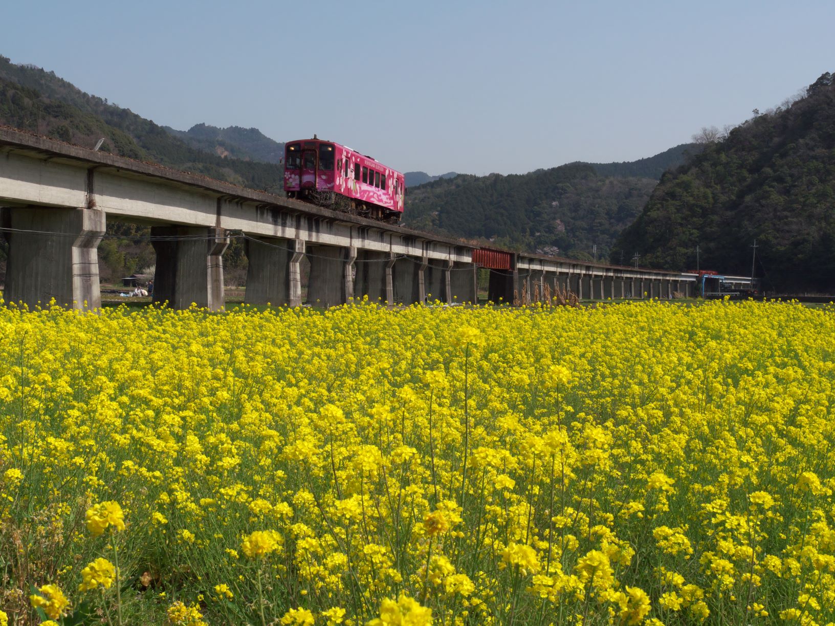 いわくにチカクニ物語（その３）錦川鉄道の旅 | 地域のトピックス
