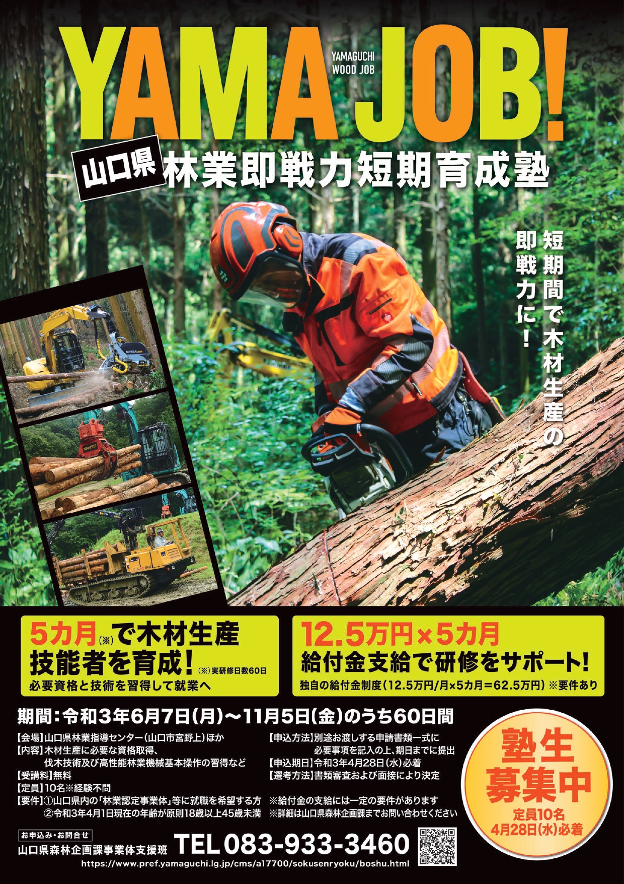 YAMAJOB！山口の森林で働こう！山口県林業即戦力短期養成塾　研修生募集中！（4月28日まで） | 地域のトピックス