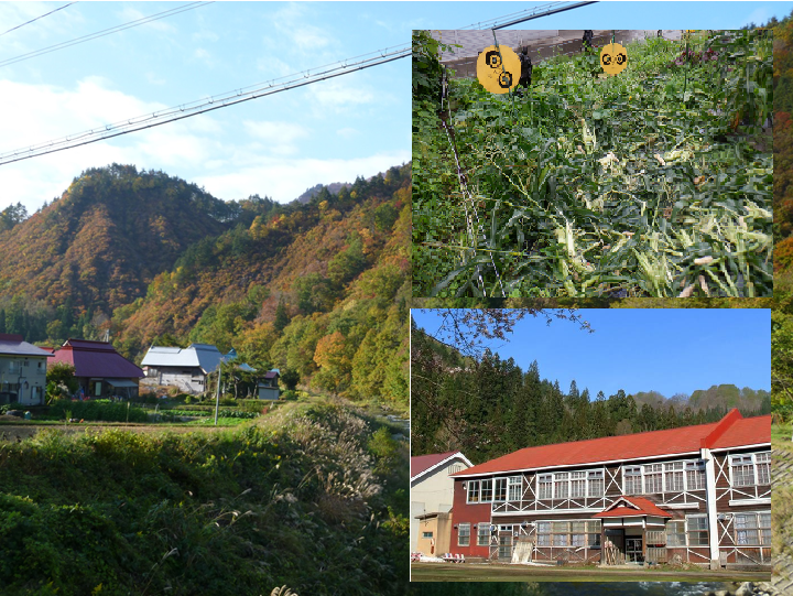 福島県金山町 地域おこし協力隊3名募集 ! | 地域のトピックス