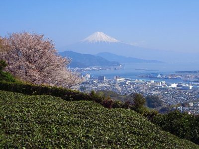 いい季節。農業ボランティアどうでしょう。 | 地域のトピックス