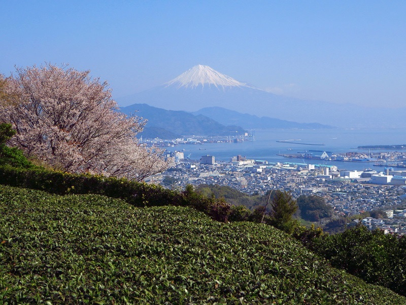いい季節。農業ボランティアどうでしょう。 | 地域のトピックス