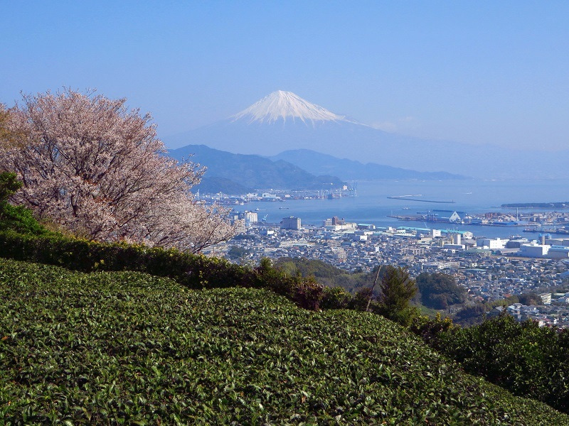 いい季節。農業ボランティアどうでしょう。 | 地域のトピックス