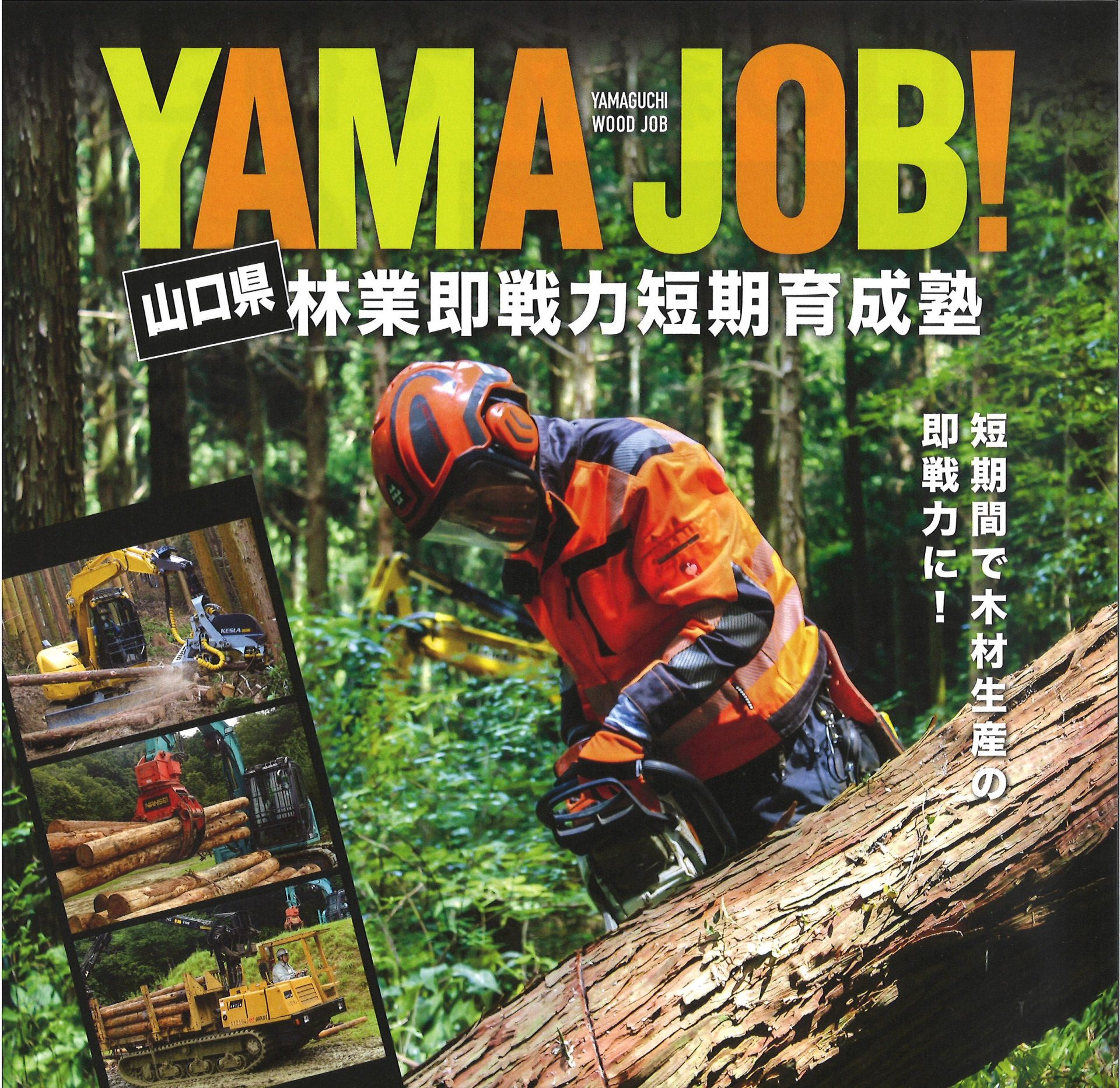 【”山”口県のおしごと】YAMAJOB!-YAMAGUCHI WOOD JOB- | 地域のトピックス