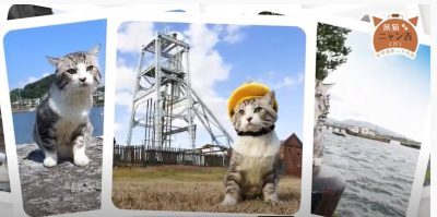 動画で紹介！旅猫ニャン吉と行く　世界遺産ｉｎ大牟田 | 地域のトピックス