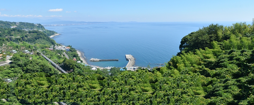 かまぼこdeフレンチと小田原暮らしのあれこれ体験 | 移住関連イベント情報