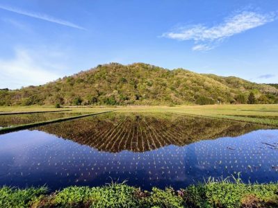 岡山の初夏の風景 | 地域のトピックス