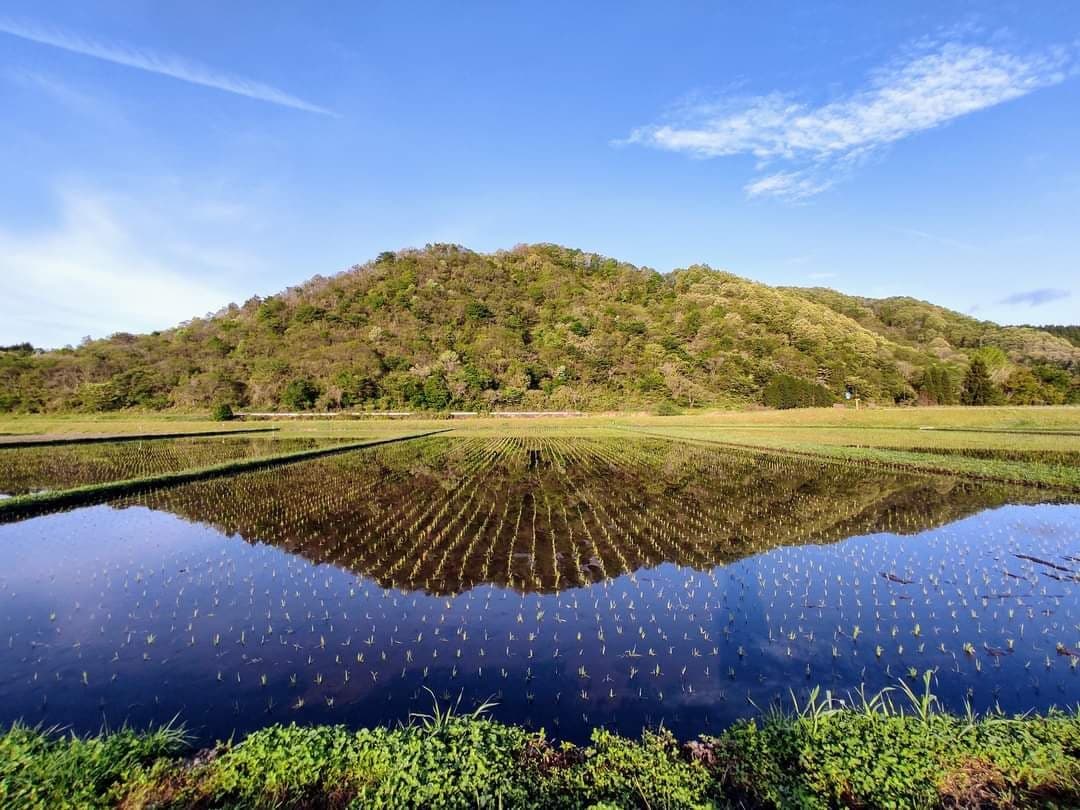 岡山の初夏の風景 | 地域のトピックス