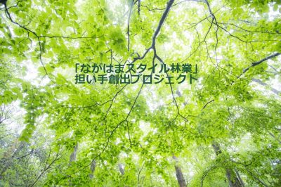 「ながはまスタイル林業」担い手創出プロジェクト　　長浜市地域おこし協力隊３名募集中！（市北部地域） | 地域のトピックス