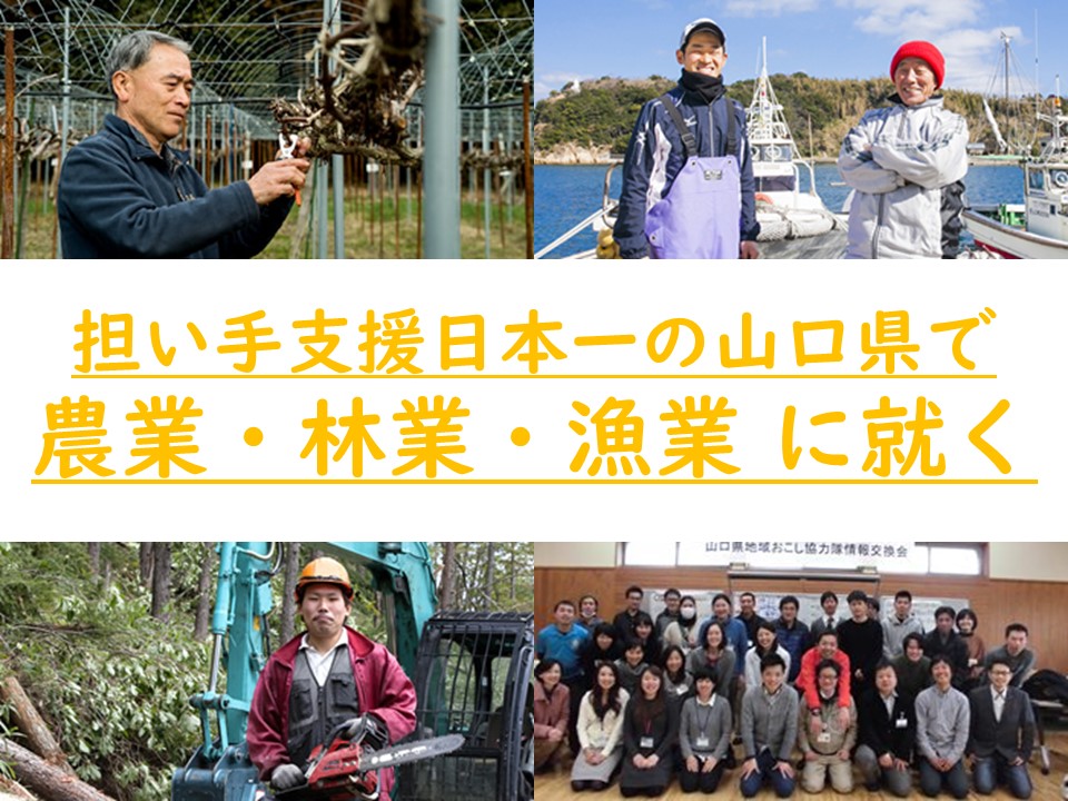 【山口県のおしごと】農業・漁業・林業に就く | 地域のトピックス