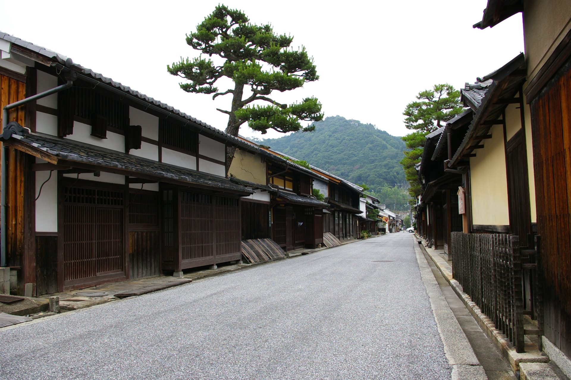 近江八幡市地域おこし協力隊(観光まちづくり)を募集します | 地域のトピックス