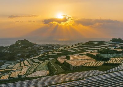 【急募】雲仙市「地域おこし協力隊】募集 | 地域のトピックス