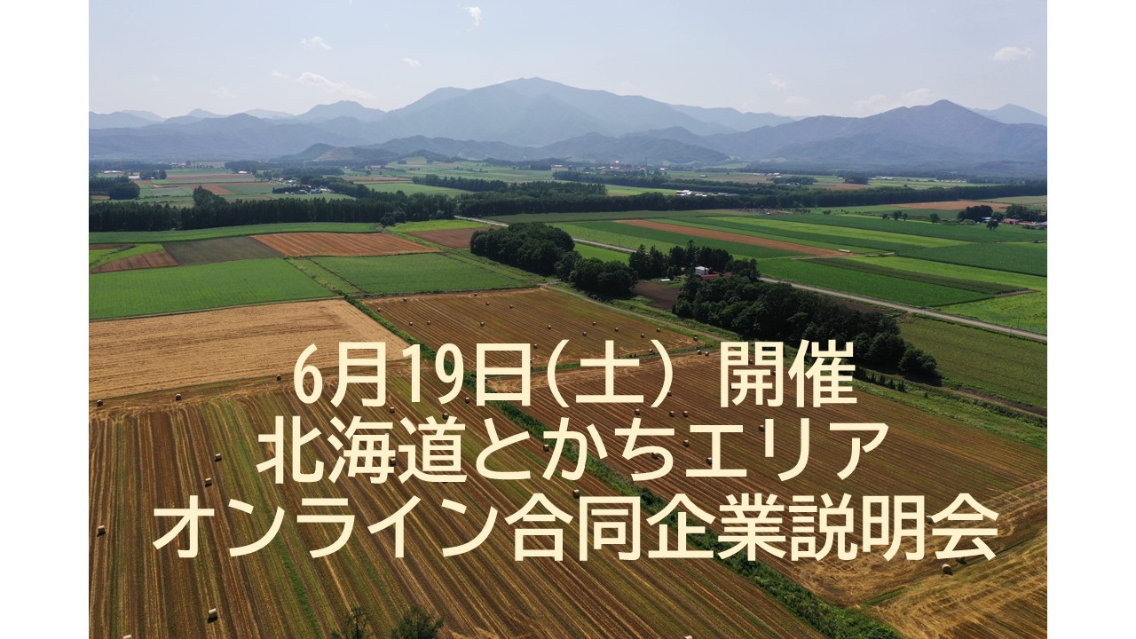 【オンライン】北海道とかちエリア 合同企業説明会 | 移住関連イベント情報