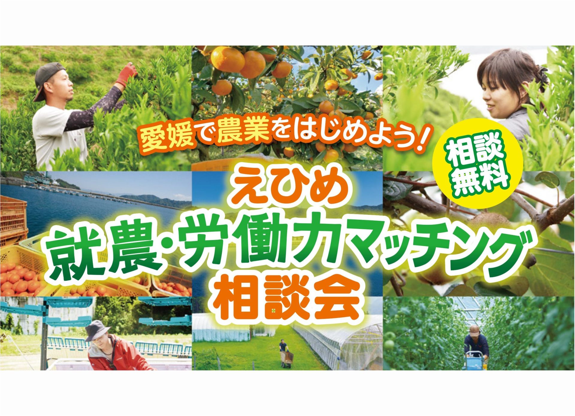 えひめ就農・労働力マッチング相談会を開催！！参加者募集 | 地域のトピックス