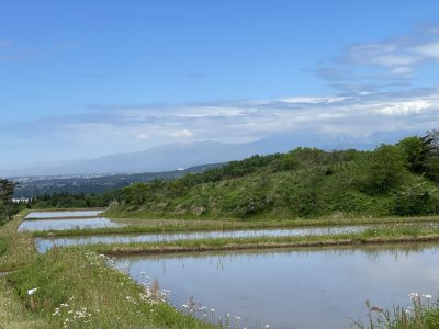 「電気柵設置作業」in富山市小羽地区、サポーター募集 | 地域のトピックス