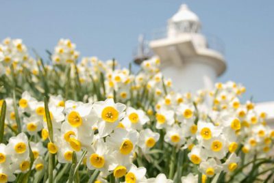 笠岡諸島「六島」では小学生のお子さんがいる移住者さん募集中！ | 地域のトピックス