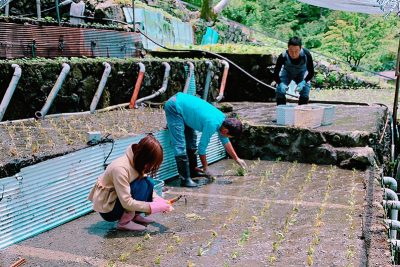 【22/4/16追記】静岡のわさび農家さんになりたい人必見 | 地域のトピックス