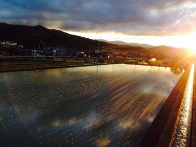 ふるさと伊豆の景色～田園風景～ | 地域のトピックス