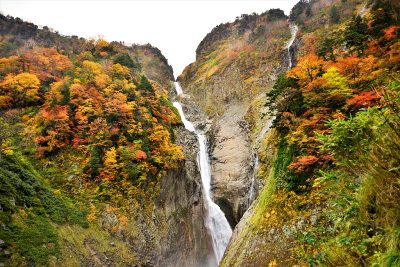 【紅葉・見ごろ】称名滝 | 地域のトピックス