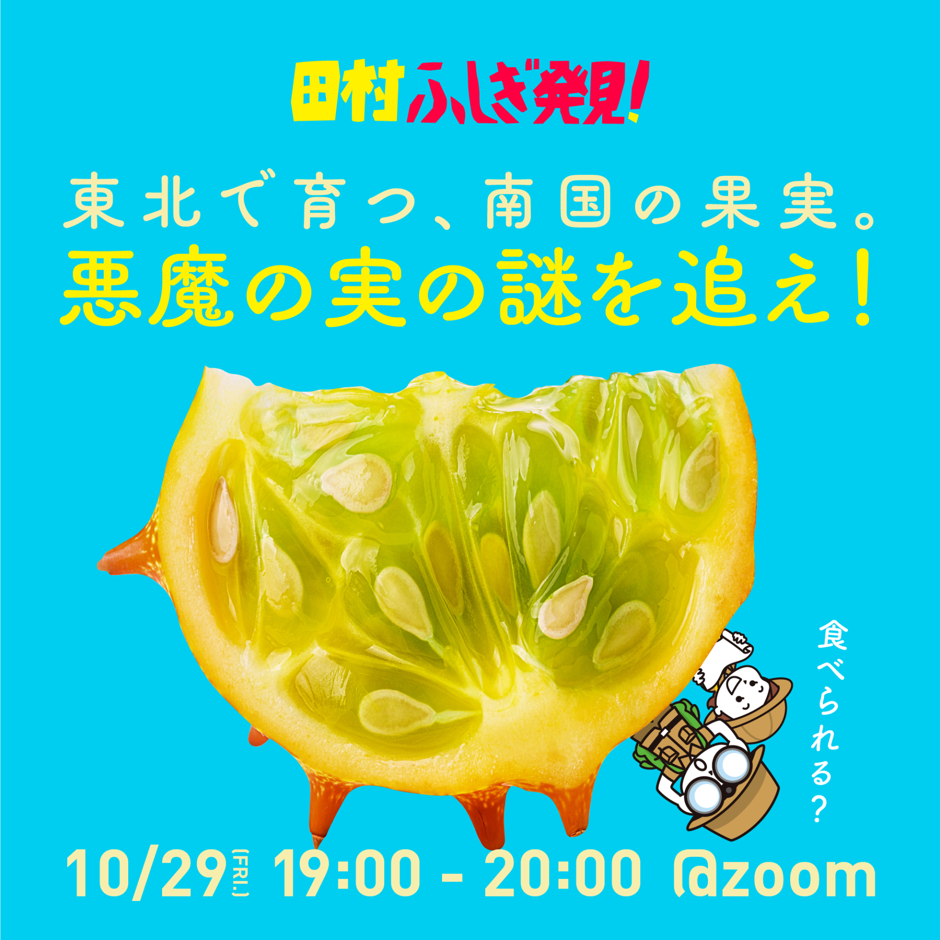 田村ふしぎ発見!東北で育つ、南国の果実。悪魔の実の謎を追え! | 地域のトピックス