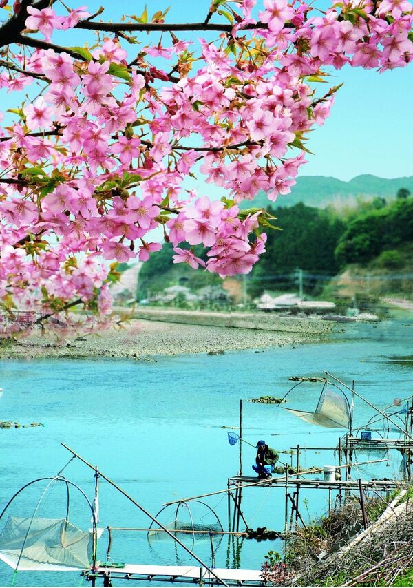 佐々で暮らす | 地域のトピックス