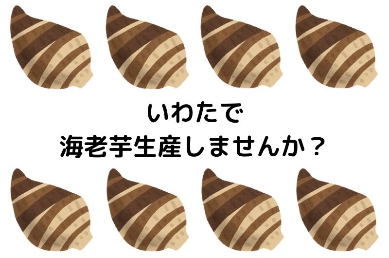 いわたで海老芋生産しませんか？ | 地域のトピックス