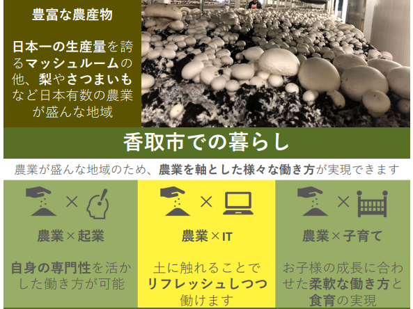 【千葉県香取市】オンライン相談で移住への第一歩をサポートします! | 地域のトピックス