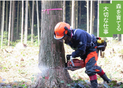 林業に興味のある方必見！体験研修会・ガイダンスに参加しませんか？ | 移住関連イベント情報